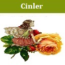 cinler