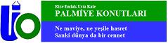 konut